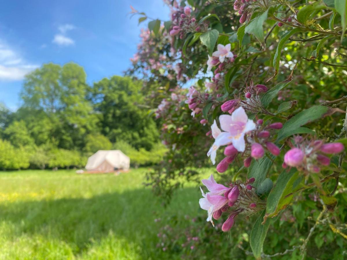 Green Glamping Sønderborg Extérieur photo