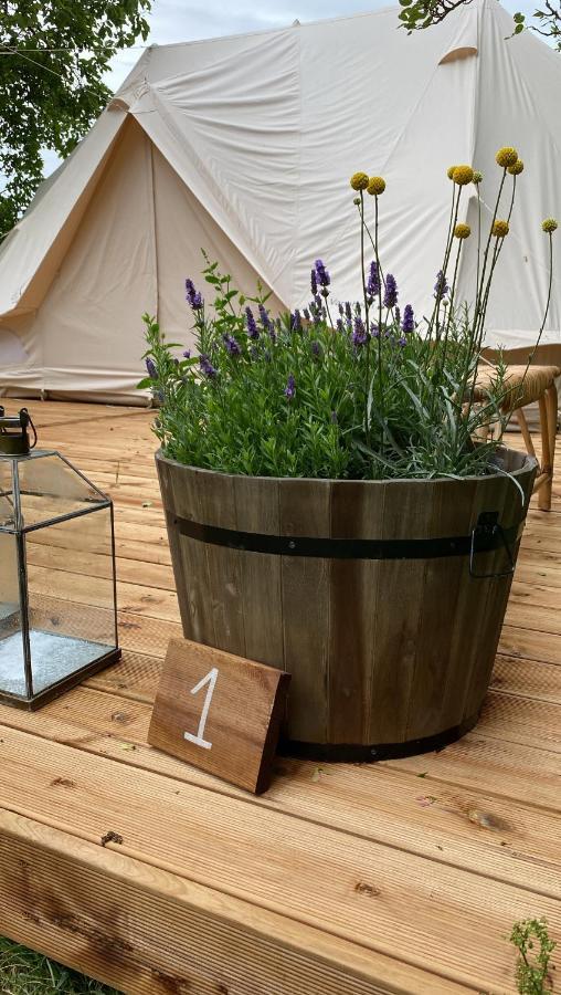 Green Glamping Sønderborg Extérieur photo